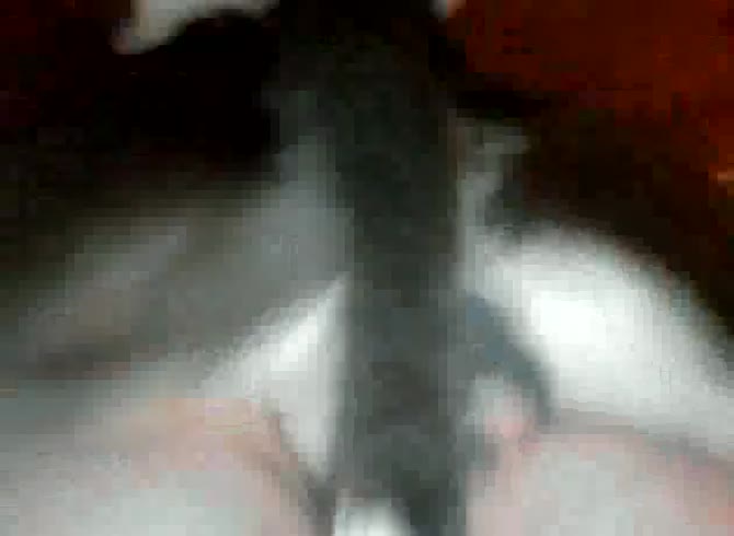 Video :Zoofilia lover girl got banged hard with dog dick